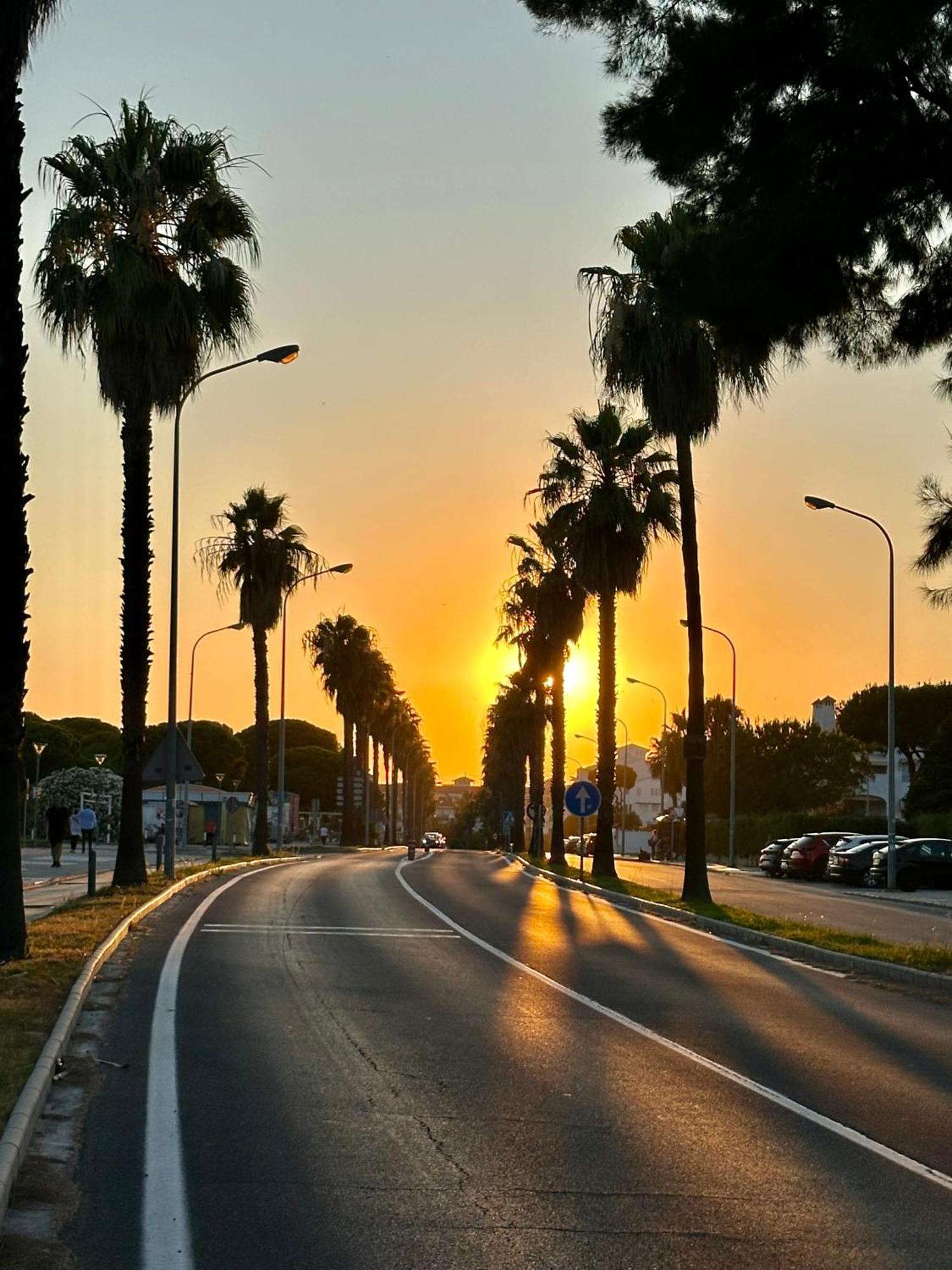 Apartamento A Pie De Playa En